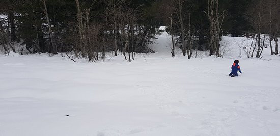 Pastel Chalet主图