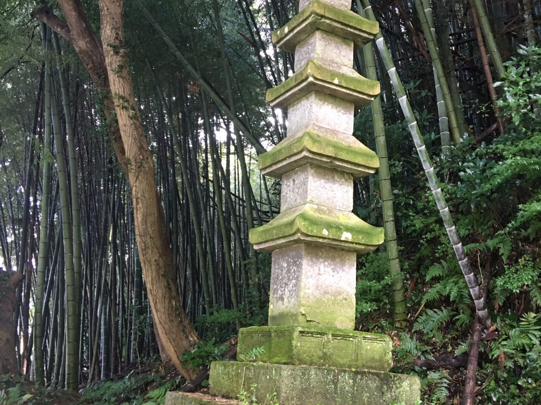 Tawarake Goju Tower景点图片