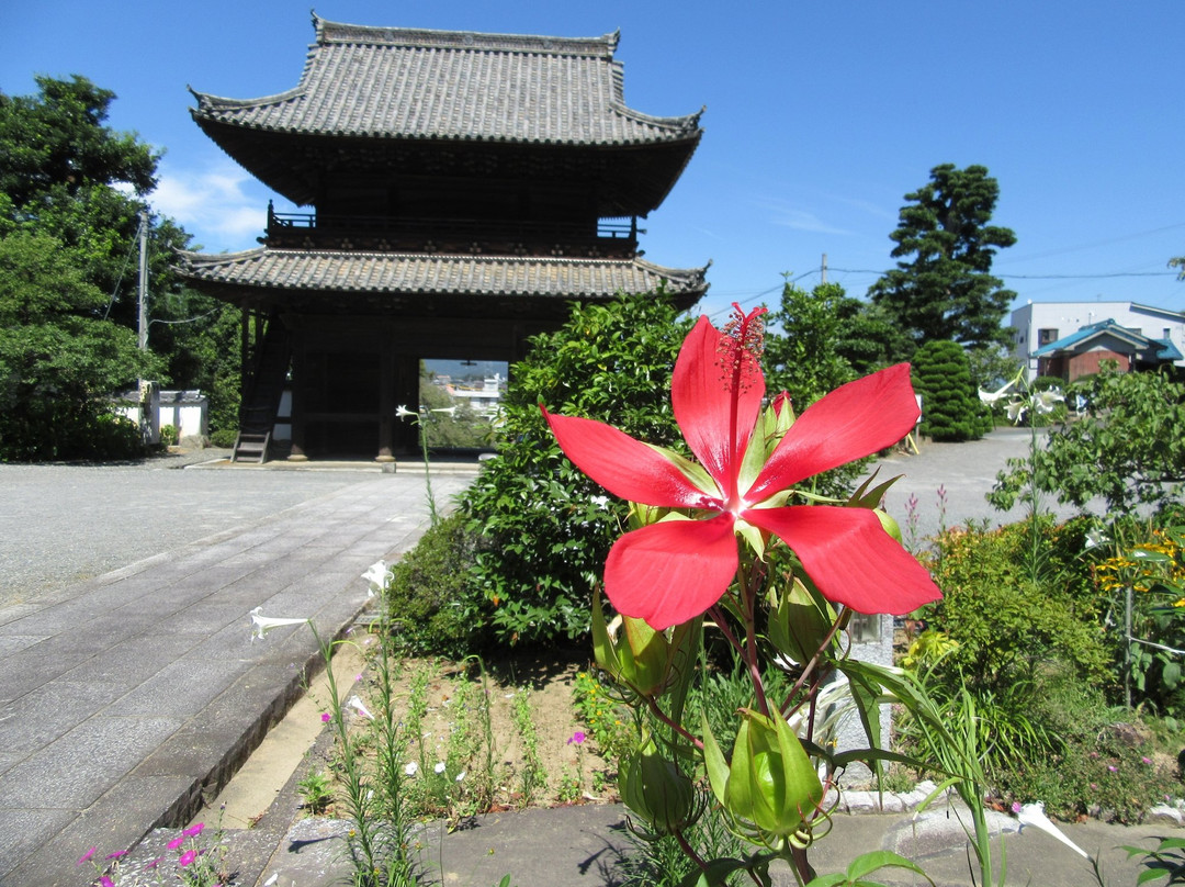 Daion-ji Temple景点图片