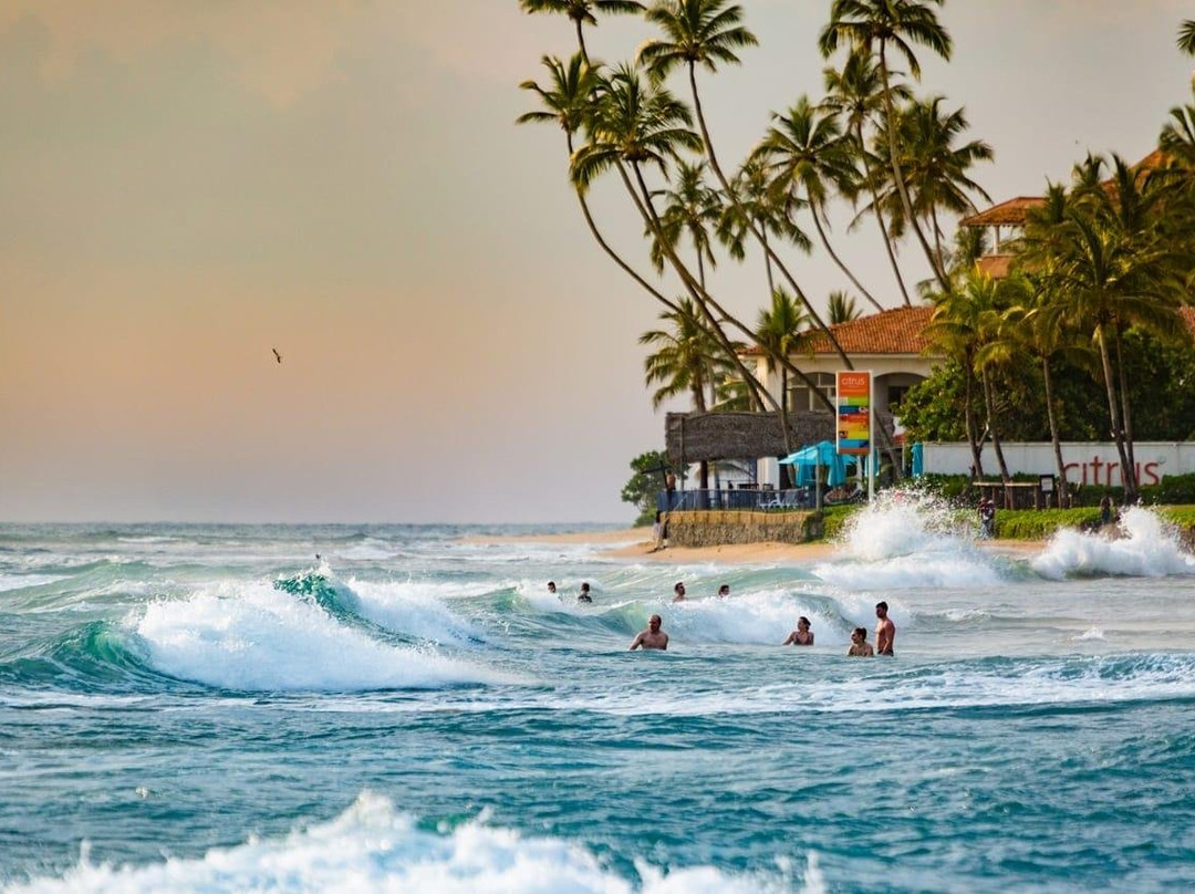 Srilanka Shami Tour Driver-乌达瓦拉瓦必去景点