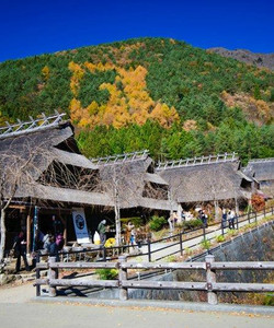 西湖疗愈之里根场景点门票图片
