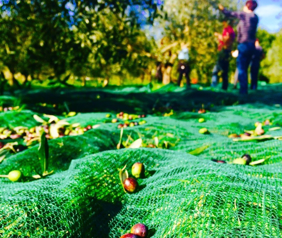 Preggio旅游攻略图片