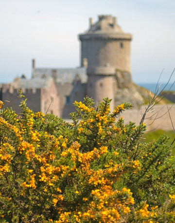 Fort La Latte - Château De La Roche Goyon-Plevenon必去景点