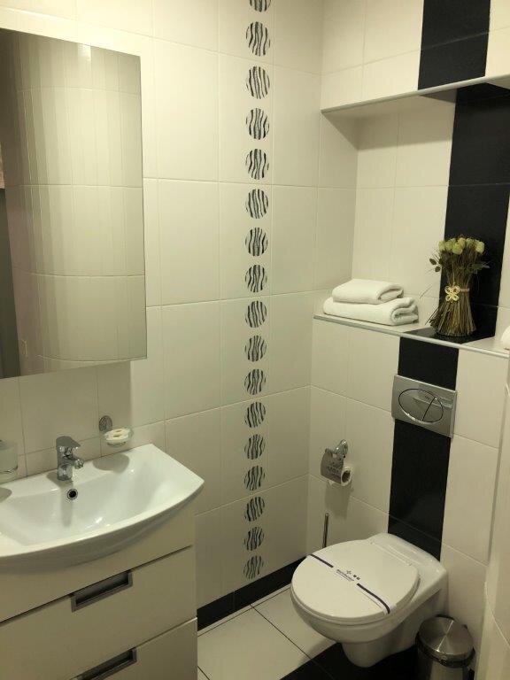 Premier Hotel Abri-浴室