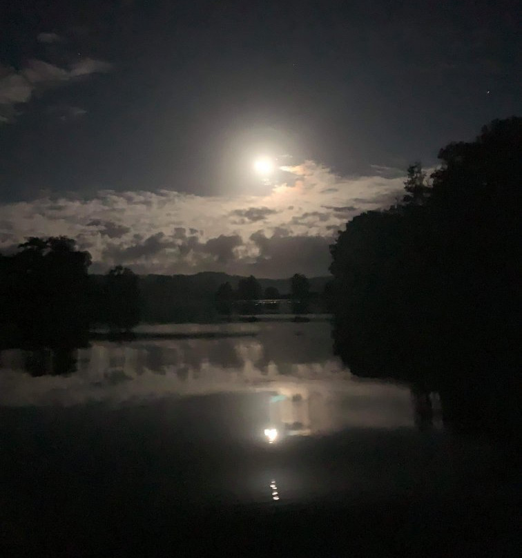Bellingen Canoe Adventures景点图片