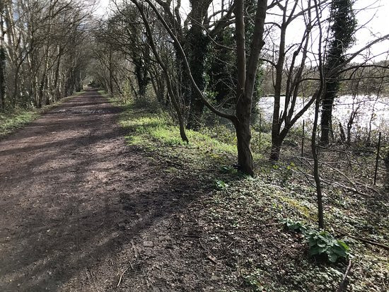 Batchworth Lake And The Grand Union Canal walk景点图片