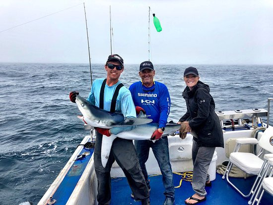 Blue Shark Charters-Eastern Passage必去景点