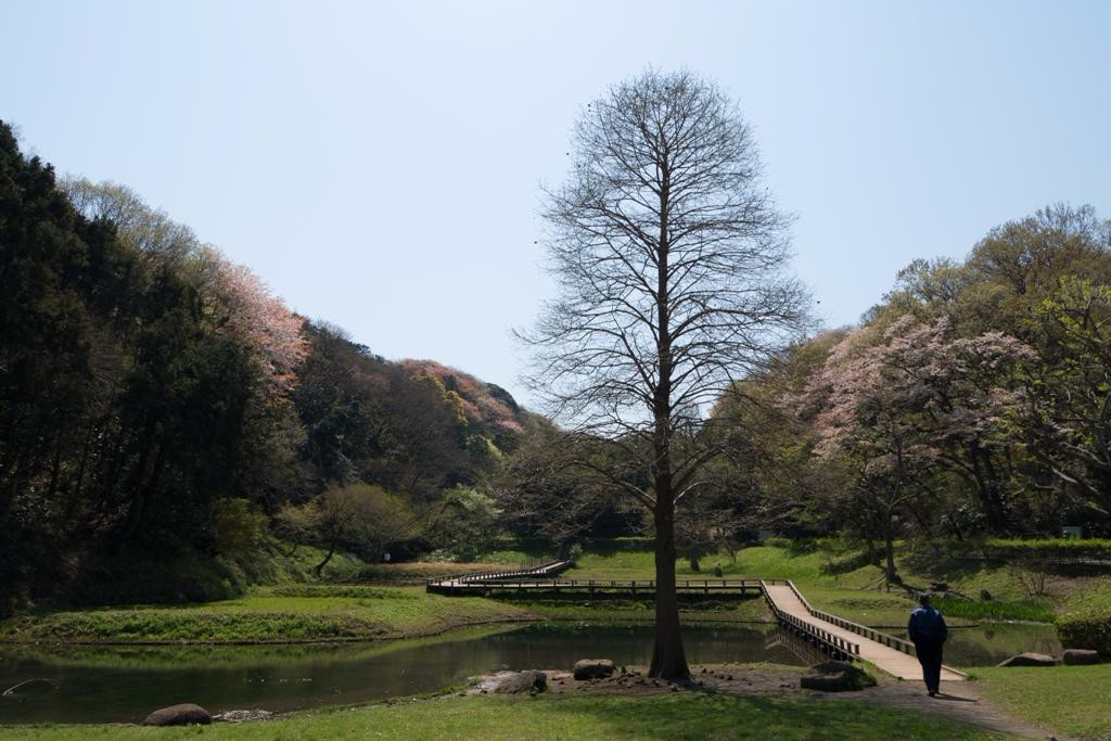 Shinbayashi Park景点图片