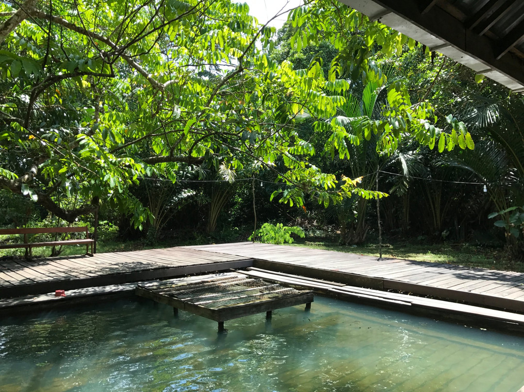 Siburan旅游景点-Kampung Panchor Hot Spring