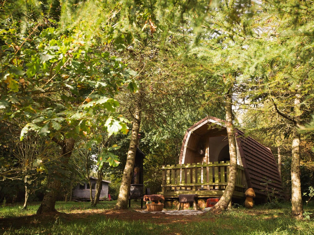 Cwtch Camp