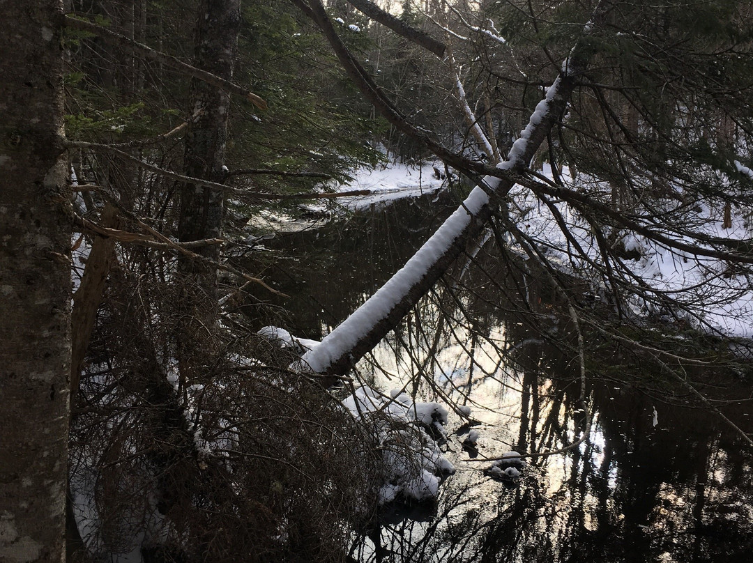 Suffolk旅游攻略图片