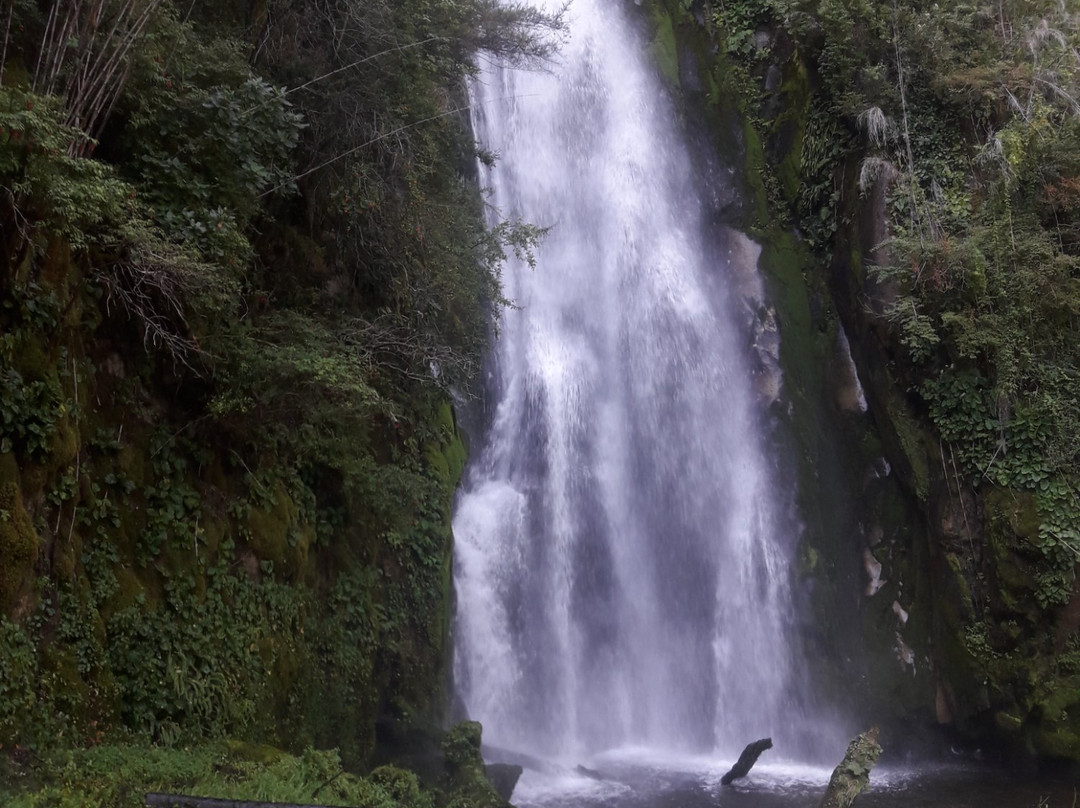 Salto del Chufquen-Melipeuco必去景点
