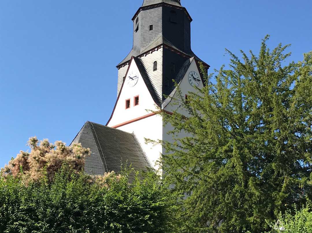 Evangelische Martinskirche景点图片