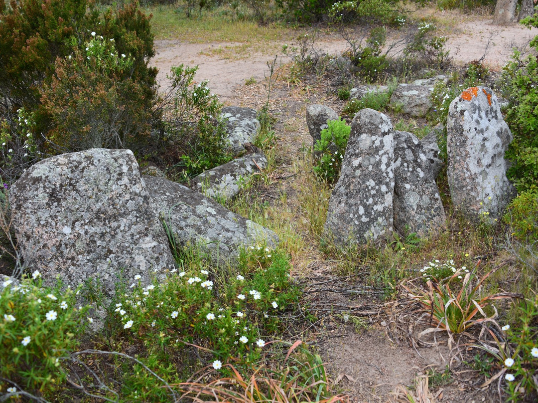 Menhirs Paddaghhu景点图片