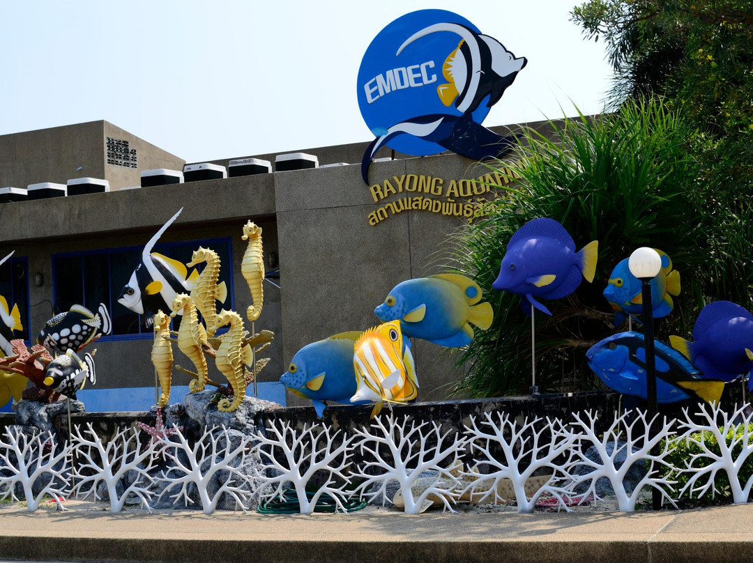 Rayong Aquarium景点图片