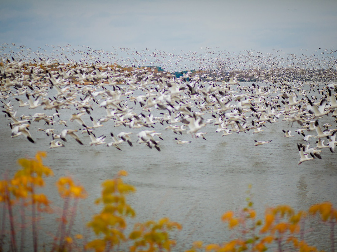 Réservoir Beaudet-Victoriaville必去景点