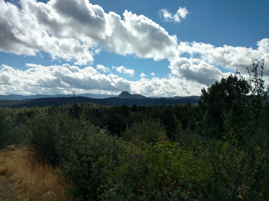 Spence Basin Mountain Bike Trails-普雷斯科特必去景点