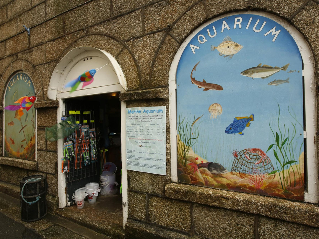 Fowey Aquarium景点图片