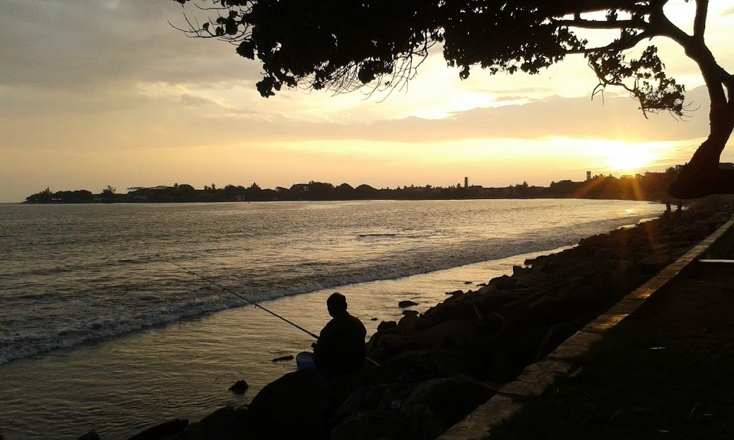 Visit Our Lanka Tours.景点图片