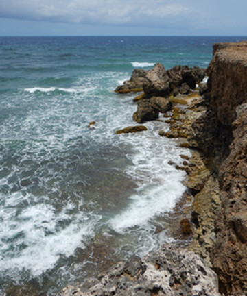 Landhuis Ascension景点门票图片