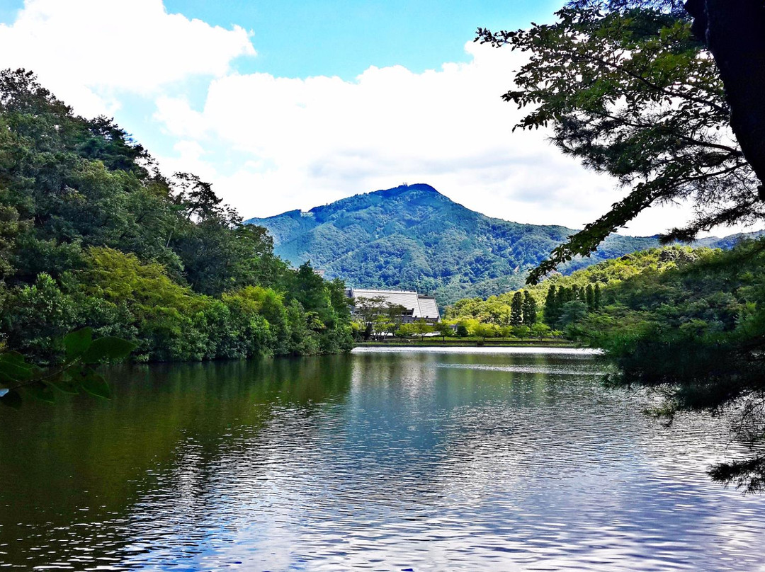 宝池公园景点图片