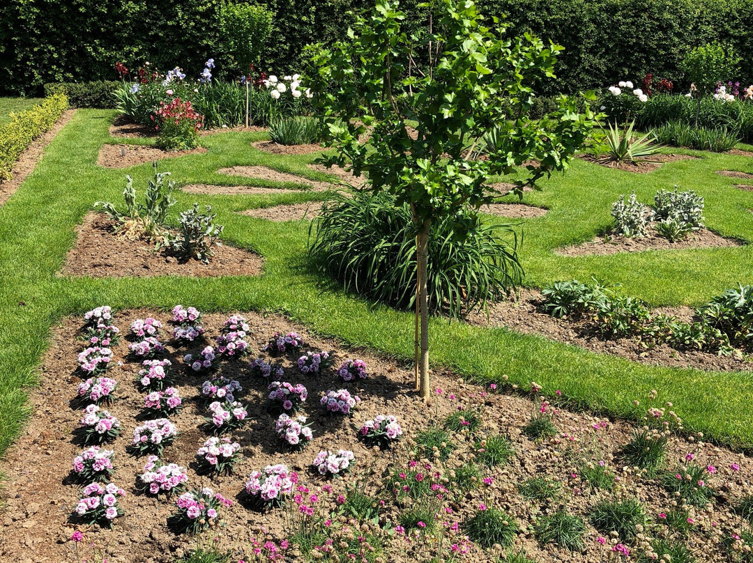 Schlossgarten景点图片