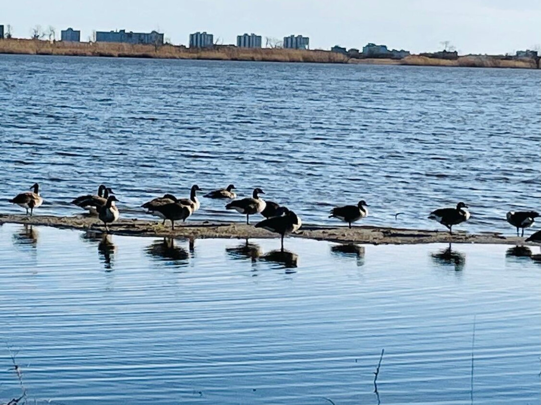 Jamaica Bay Wildlife Refuge Vstr. Cntr. - Gateway National Recreation Area-Far Rockaway必去景点