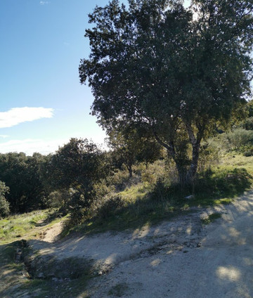 Monte Cuesta Blanca-Galapagar必去景点