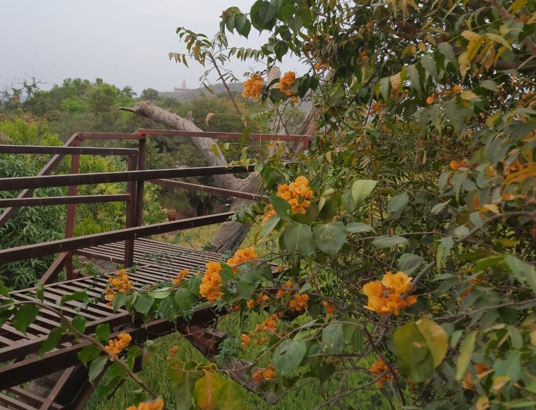 The Ummaid Bagh Resort主图