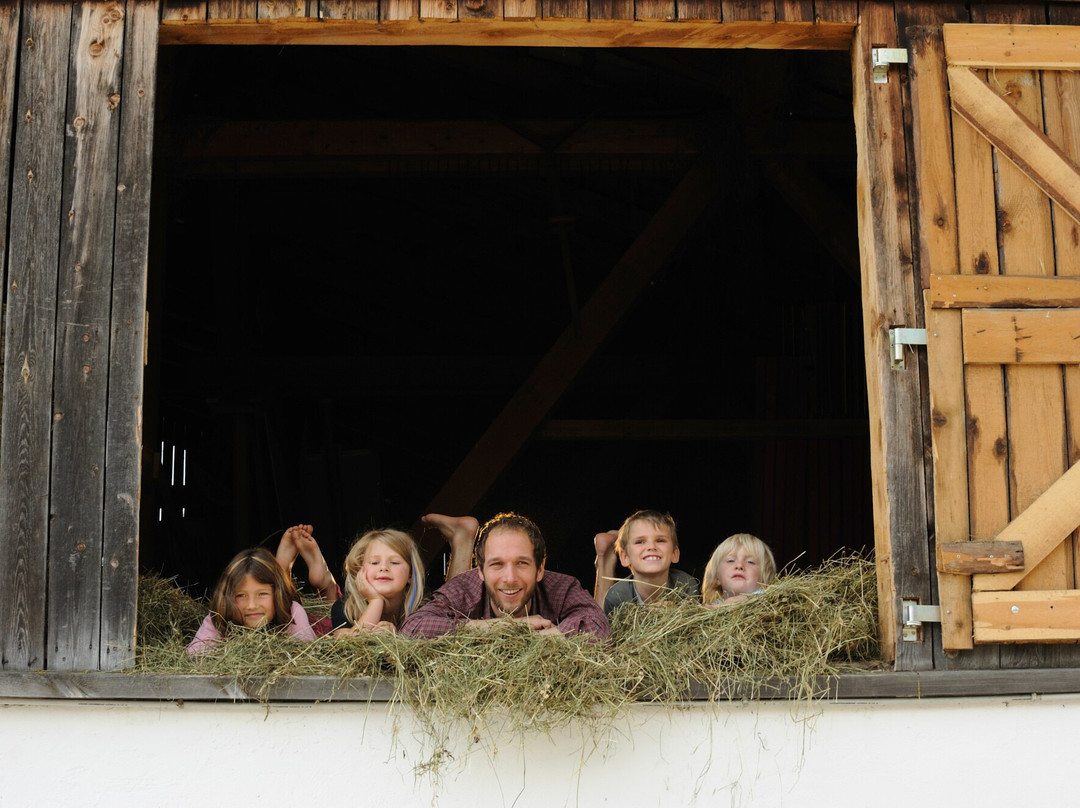 斯特恩家庭兰德酒店主图