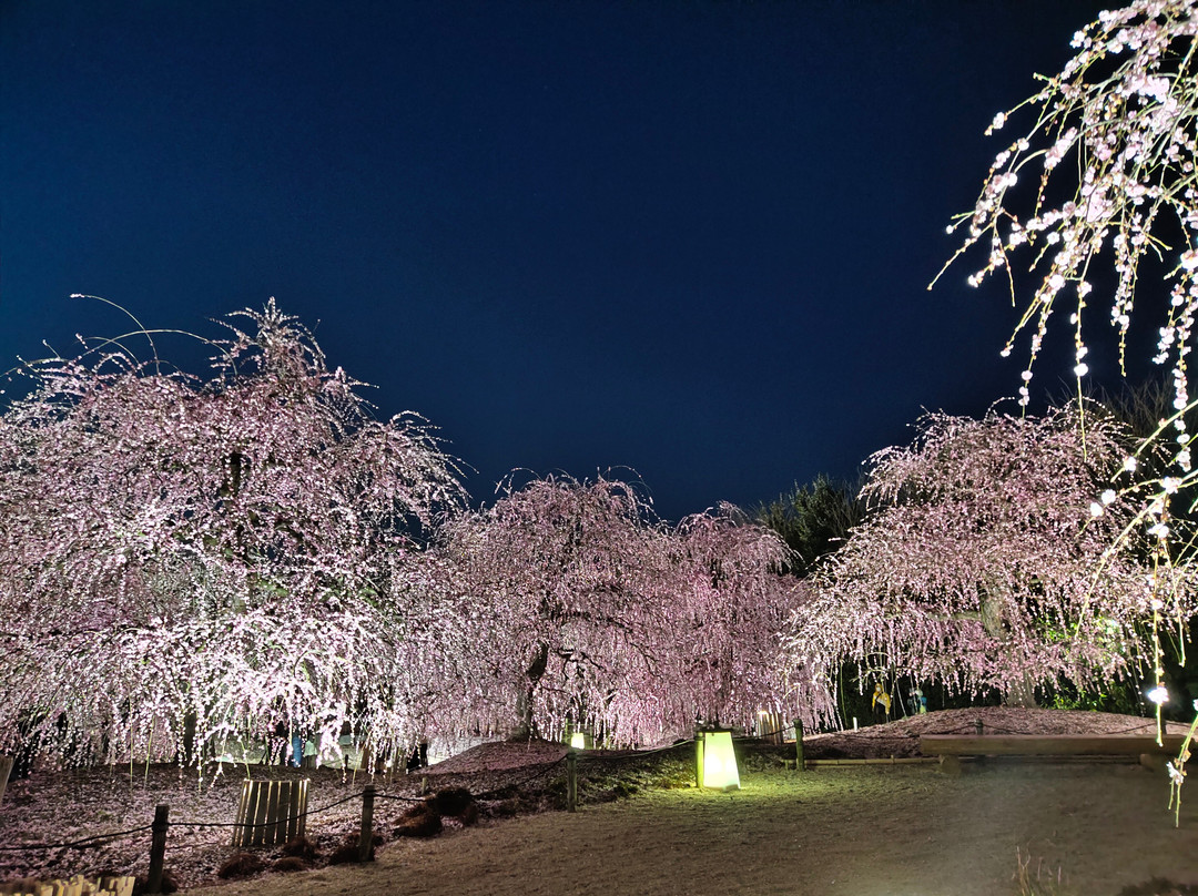 Suzuka Forest Garden景点图片