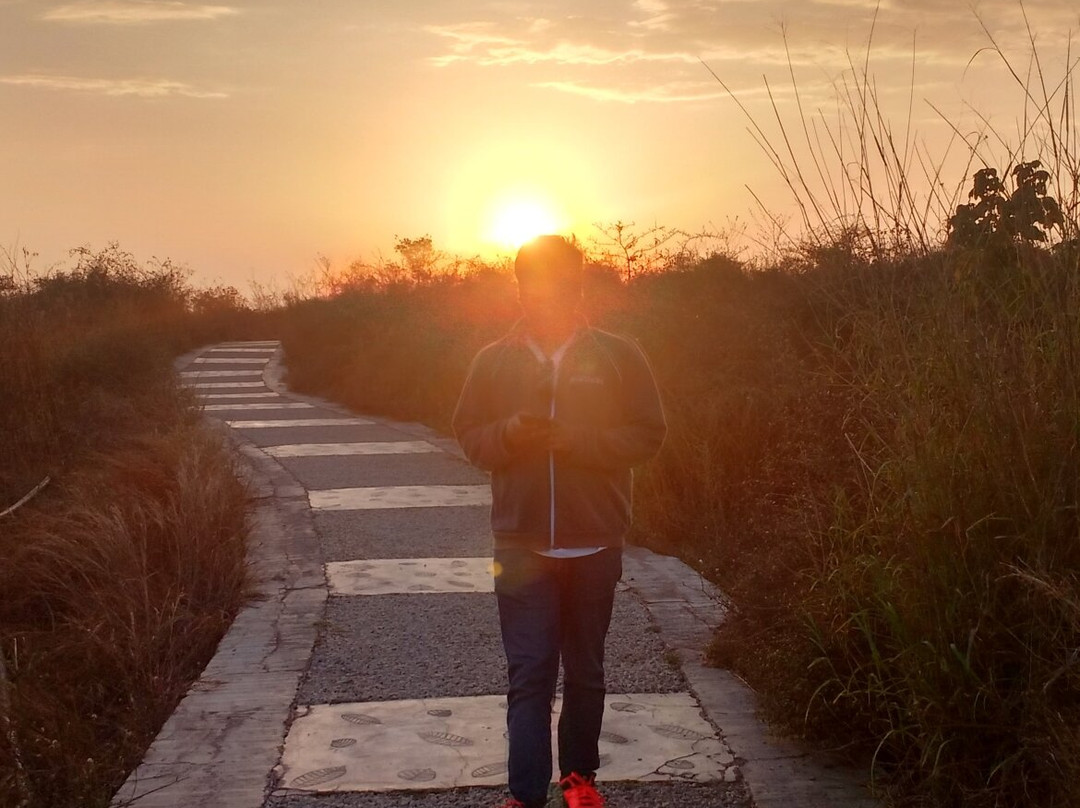 Aravali Biodiversity Park景点图片