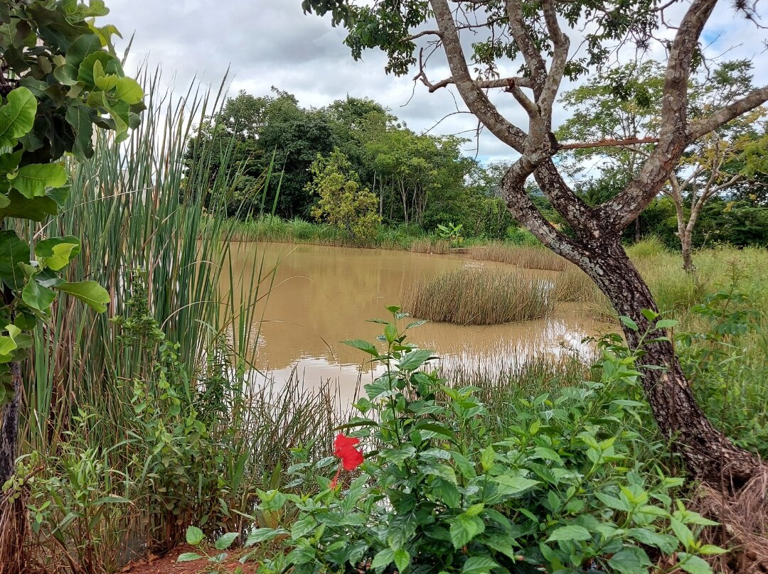 Parque Linear - Zé Do Vale-Unai必去景点