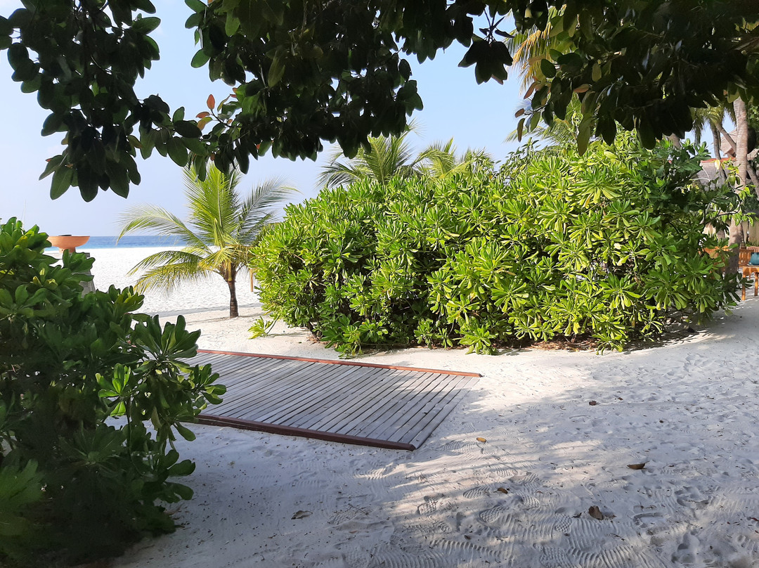 Banyan Tree Spa Vabbinfaru-瓦宾法鲁必去景点