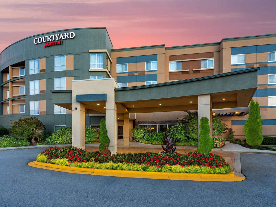 Courtyard by Marriott Atlanta McDonough主图