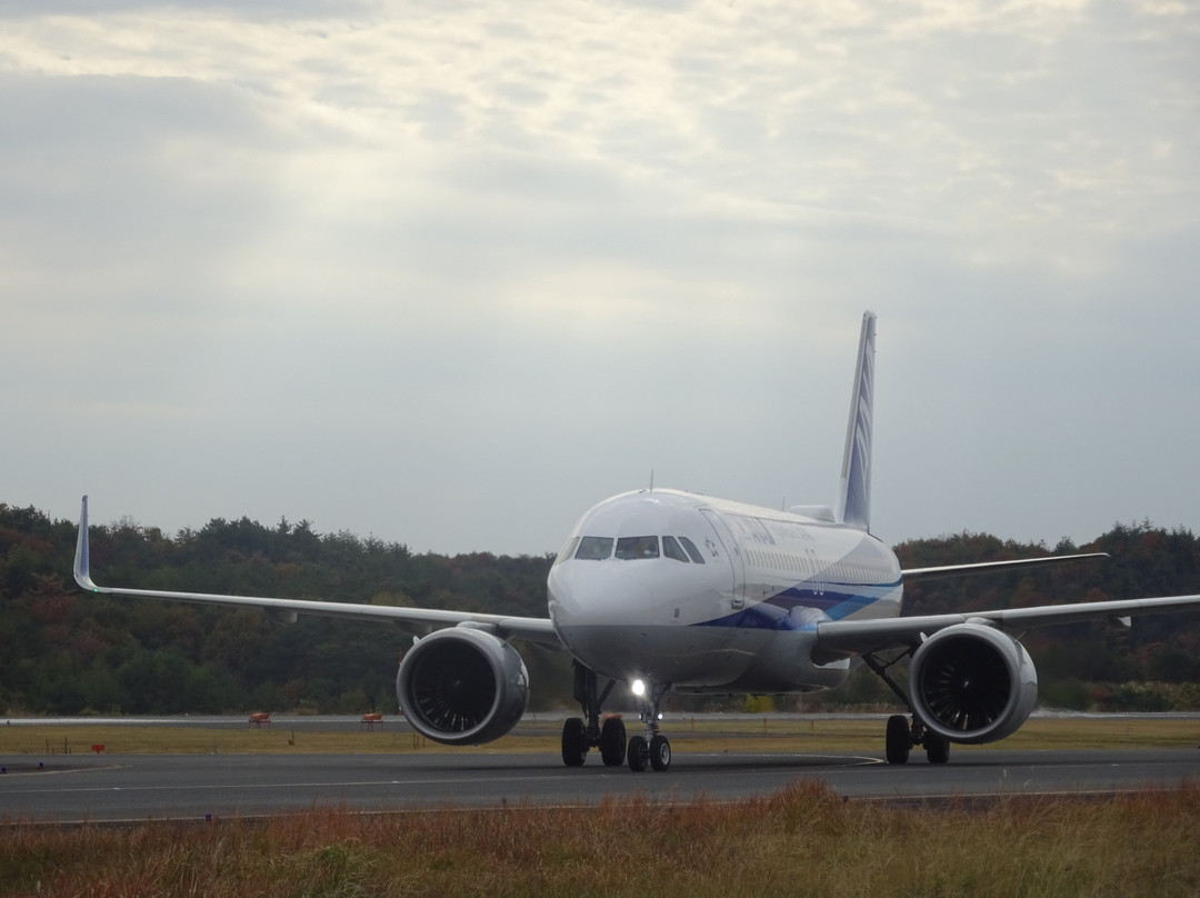 Okayama Airport Observation Deck景点图片