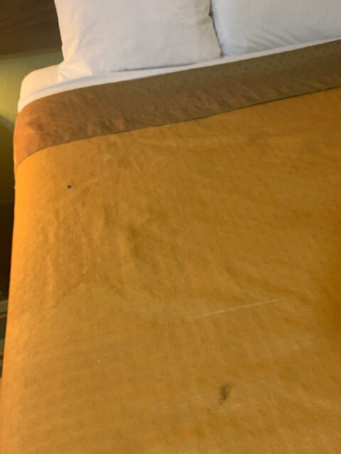 Super 8 By Wyndham Brookhaven主图