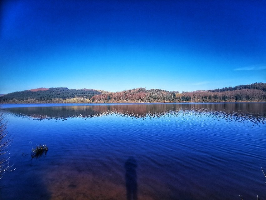 RSPB Lake Vyrnwy-奥斯沃斯特必去景点