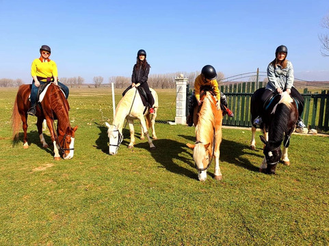 Saddle Club Zadar Horseback Riding Centre-扎达尔必去景点