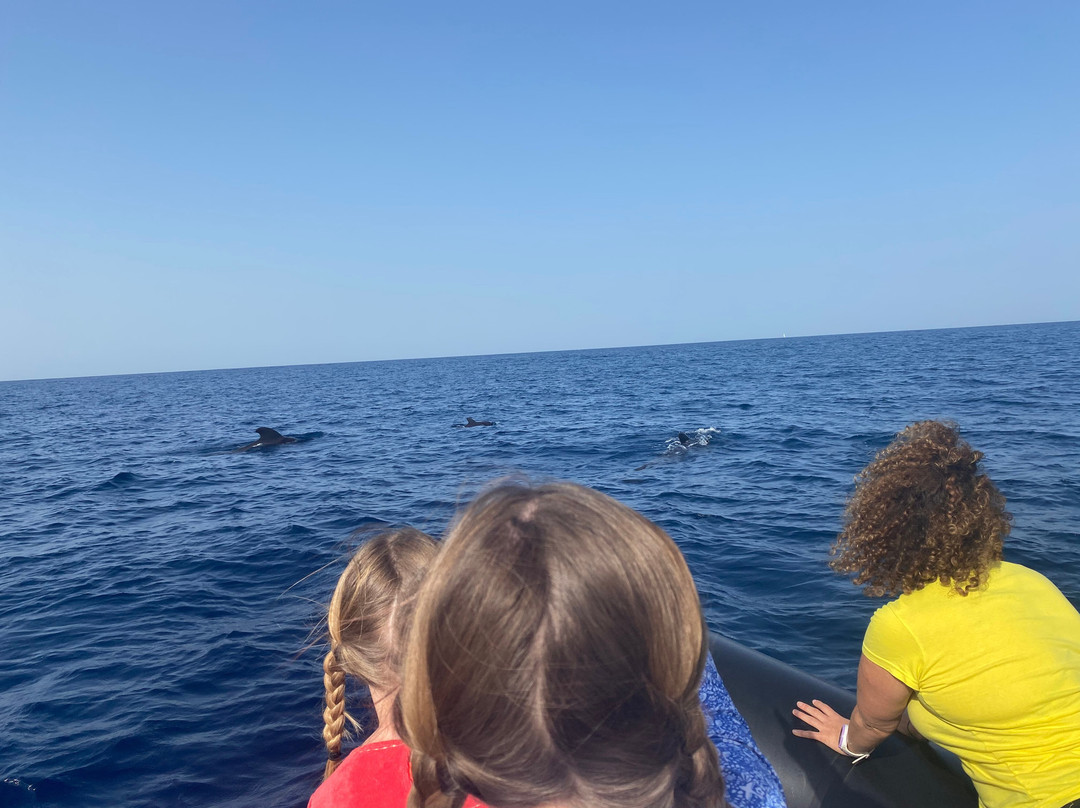 Dive Center Ocean Friends-Los Abrigos必去景点