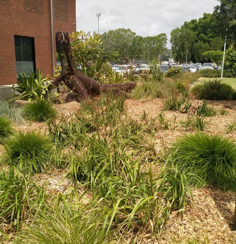 Dirrawuhn (goanna) Art Installation-利斯莫尔必去景点