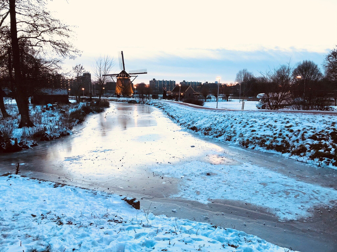 Molen De Vlieger-福尔堡必去景点