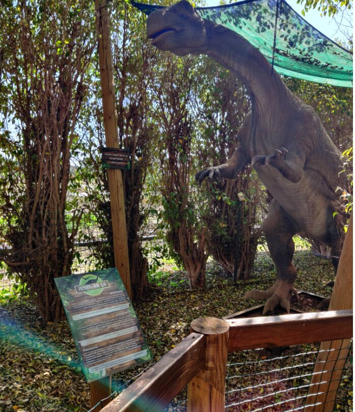 Gan Garoo Zoo-Nir David必去景点