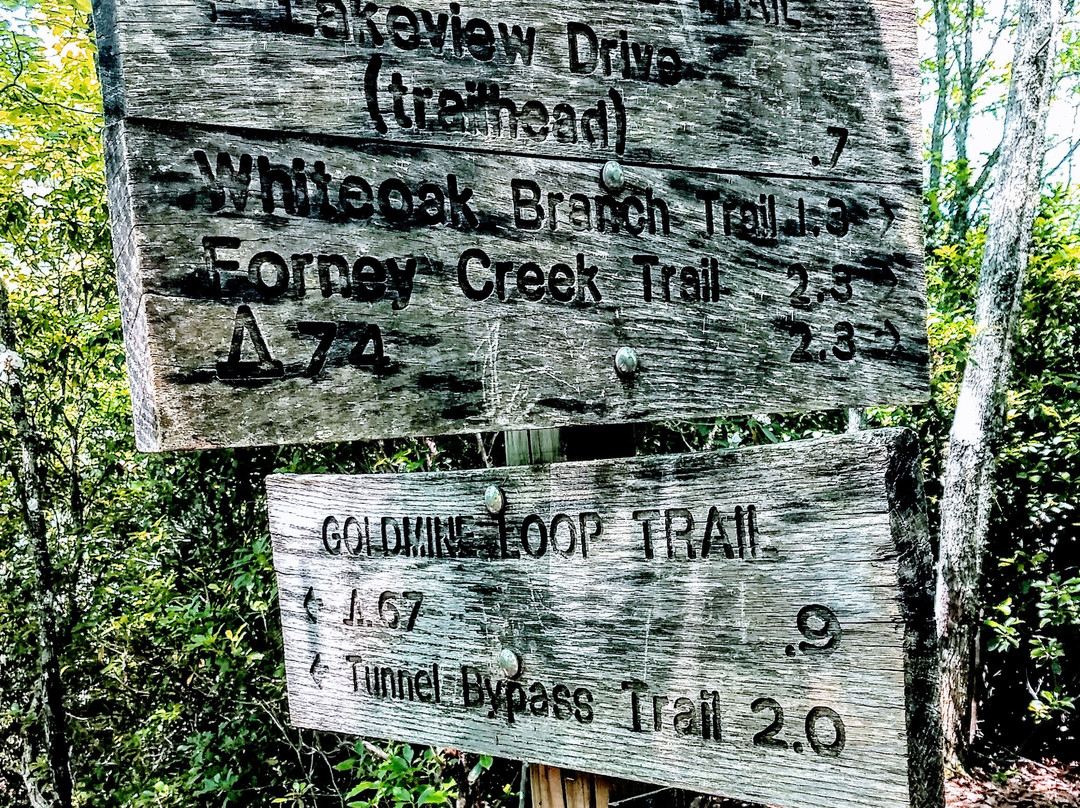 The Sunny Day Adventure Company-Almond必去景点