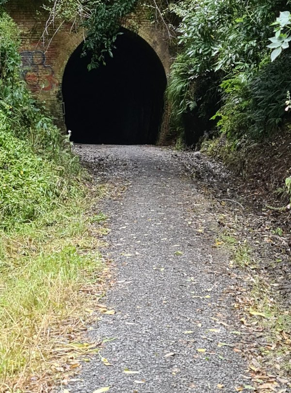 Tunnel Hill景点图片