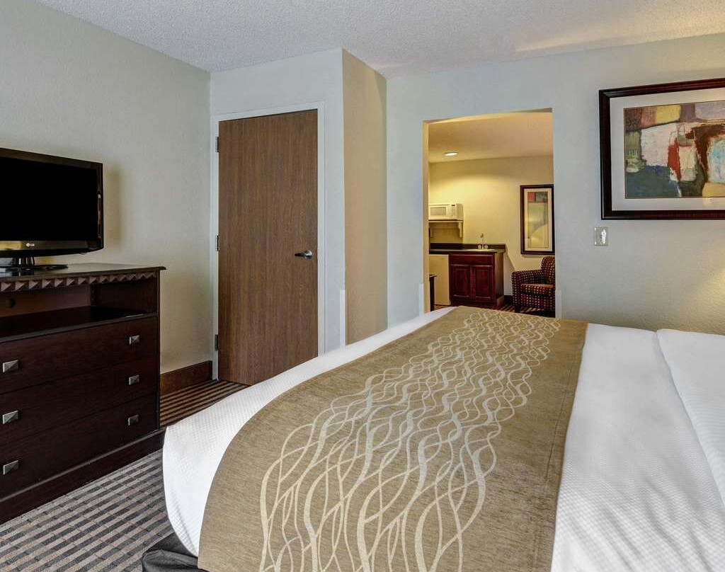 Comfort Inn & Suites主图