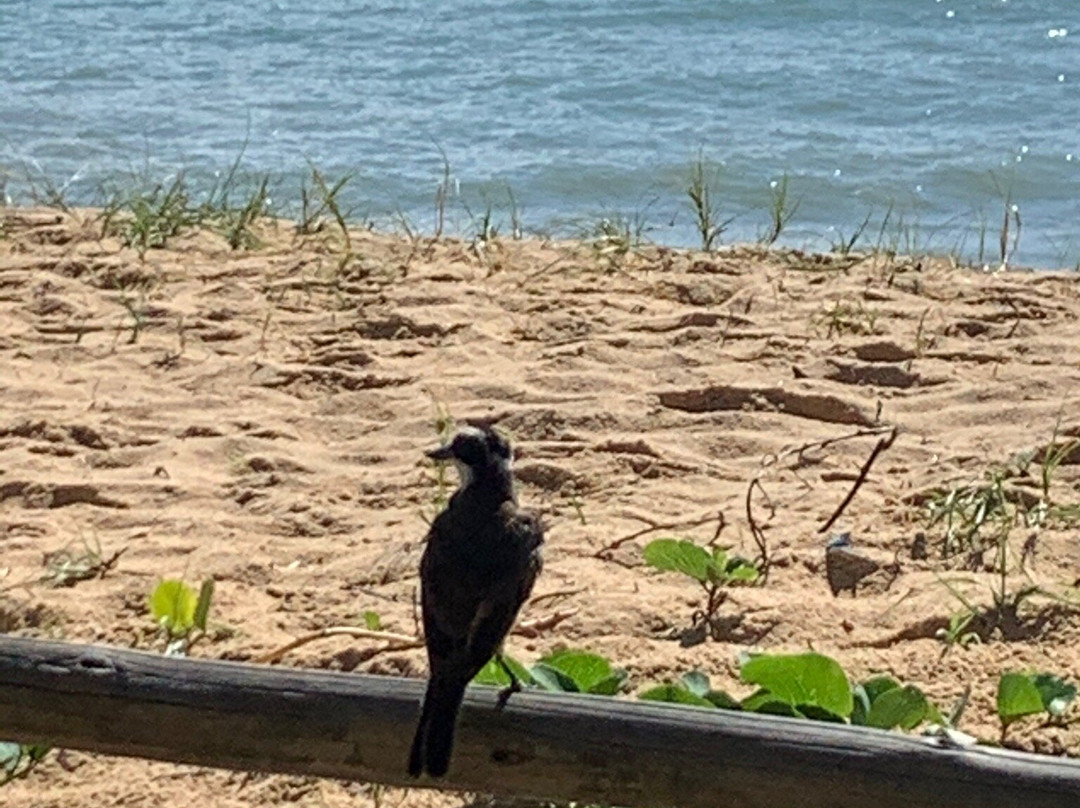 Pousada da Barra Caraiva主图