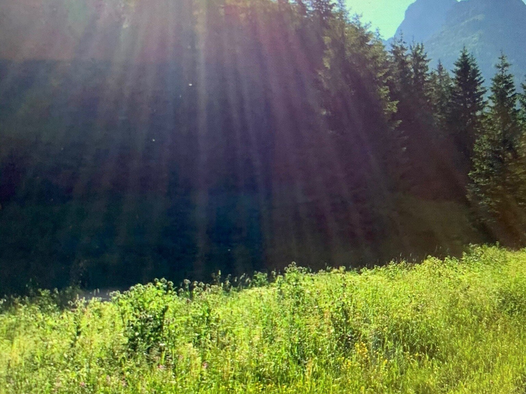 Giewont Mountain景点图片