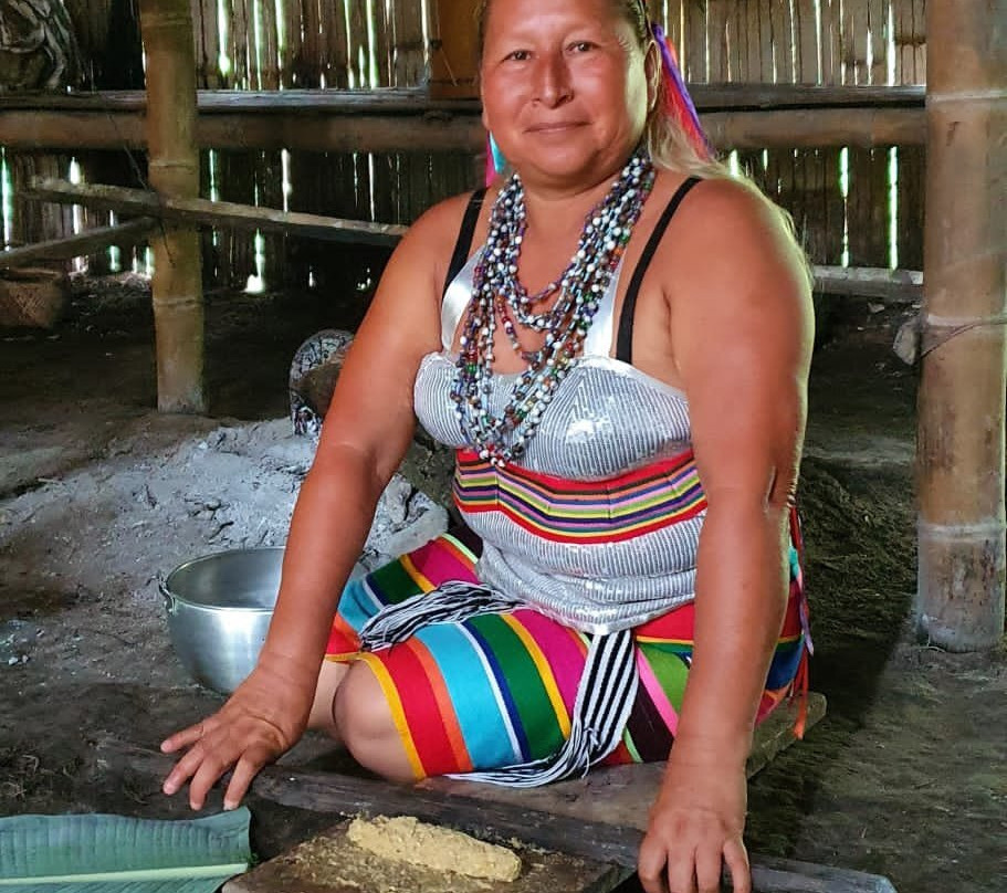 Awakening Ayahuasca Museo Etnografico Tsachila-Santo Domingo必去景点