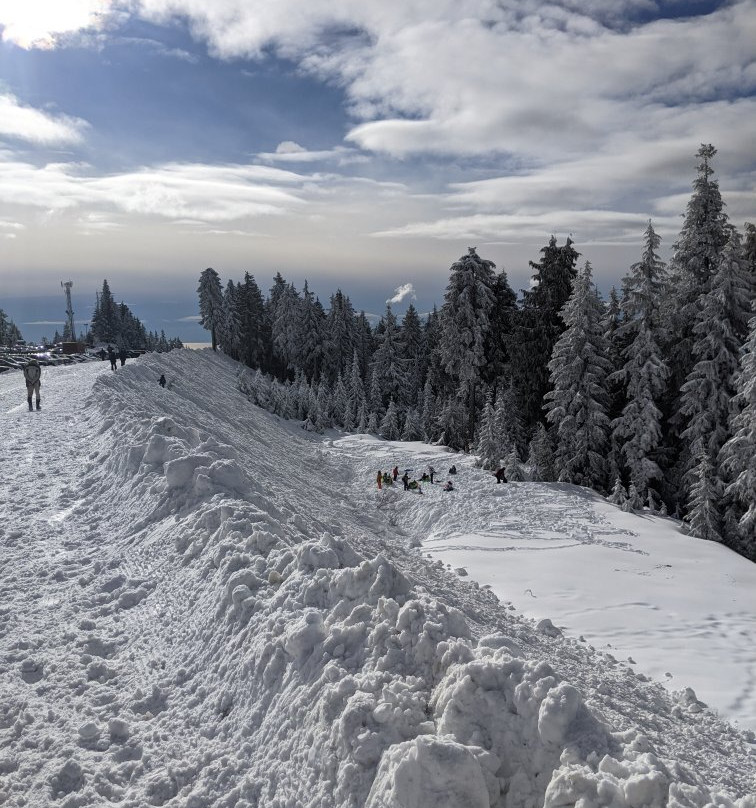 Mt Seymour-北温哥华必去景点